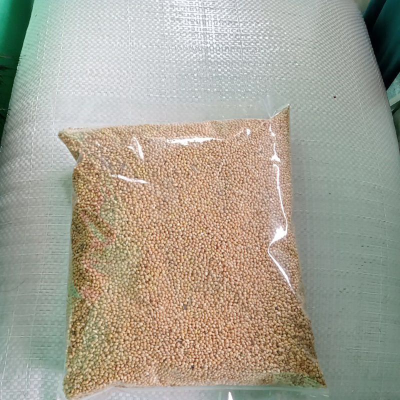 MILET KUNING KILOAN REPACK 1KG PAKAN MAKANAN BURUNG LOVEBIRD