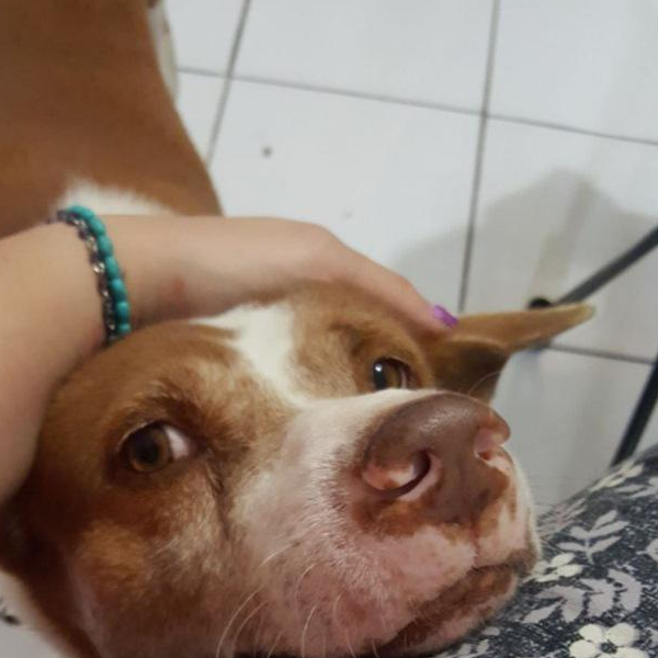 maylissanatalia