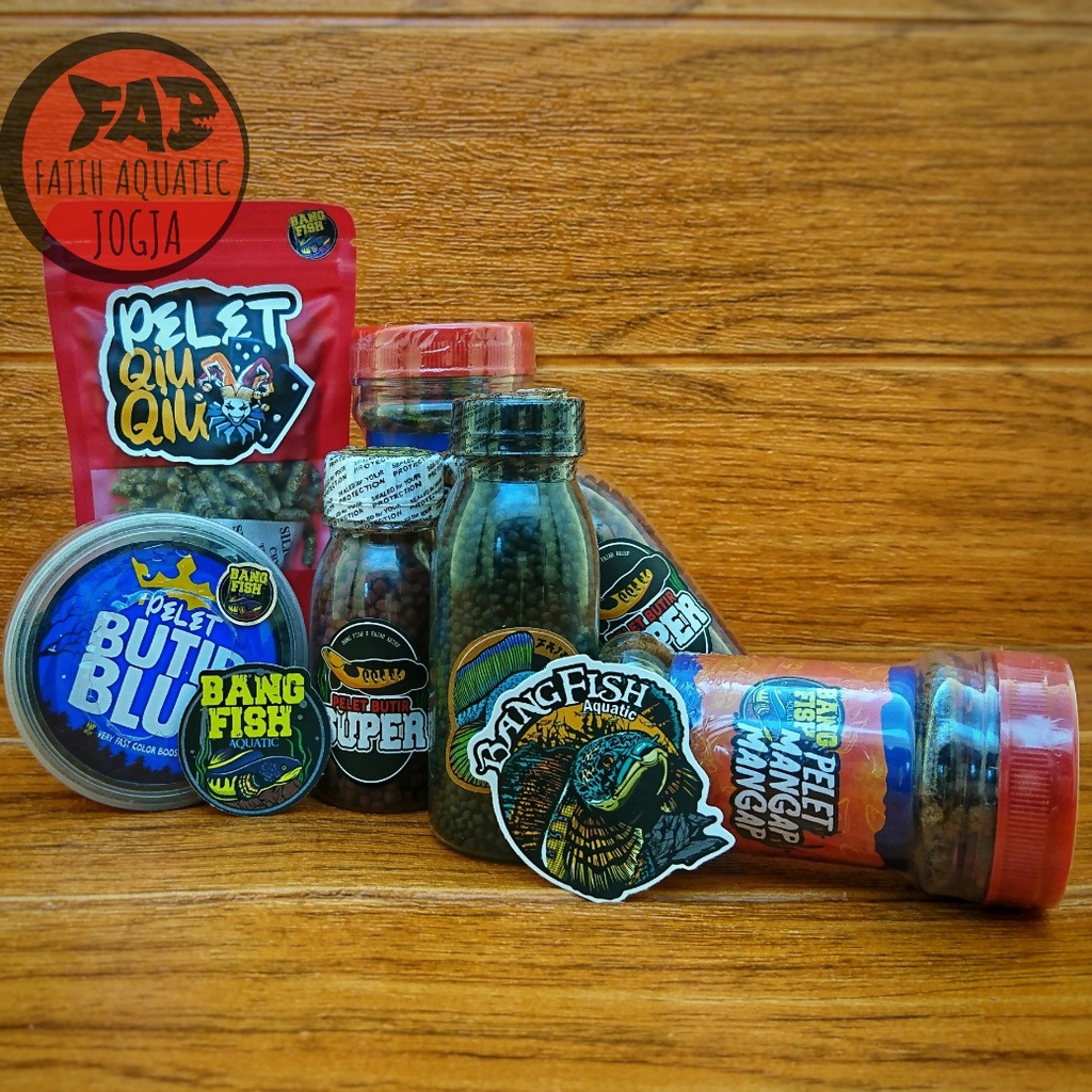 Pelet Jahat Virus Channa Mangap Mangap Qiu Qiu Sarkem Butir Super Blue Bang Fish x Fajar Arif Untuk 