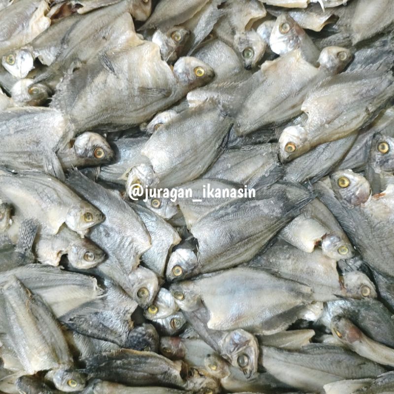 

Ikan Asin sapat Curai 100-500gr
