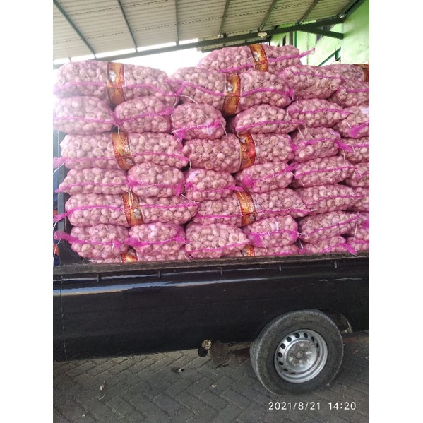 

bawang putih sinco 500gr