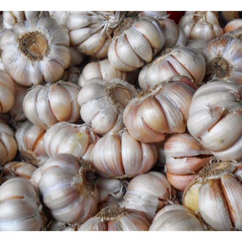 

Bawang Putih 250 gram