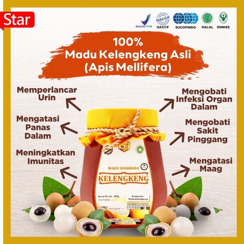 

[COD] Madu Kelengkeng / Lebah Apis Melifera - Garansi Murni & Asli 100- Ekonomis - Wild Bee
