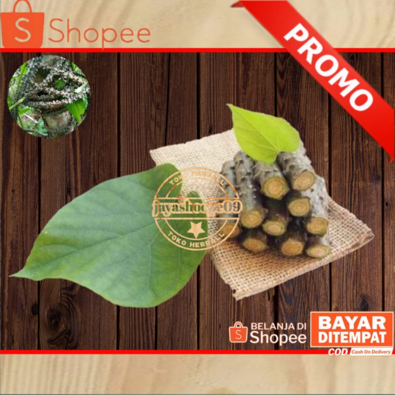 Jual Brotowali Bratawali Batrawali Patrawali Atau Akar Aliali 250grm Shopee Indonesia 5967