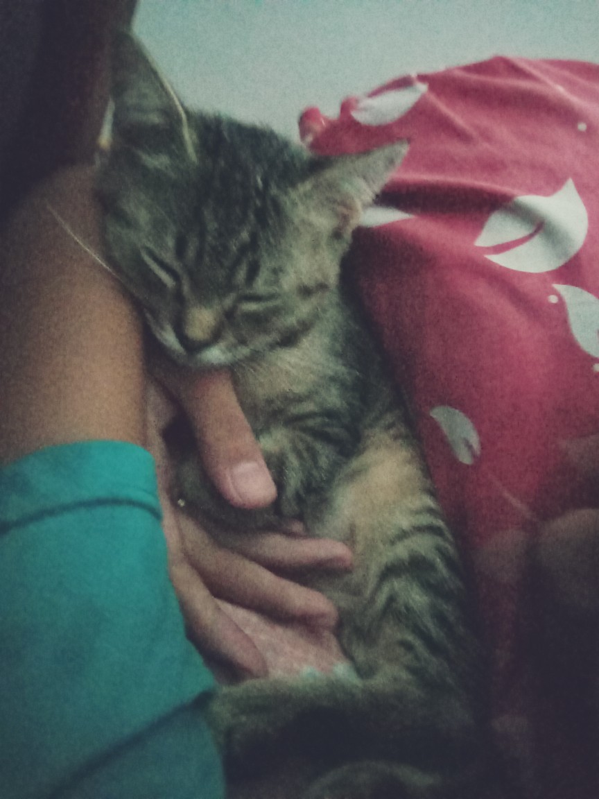 Batik Gamis Jazzy Pari Kesit  Bisa Pisah