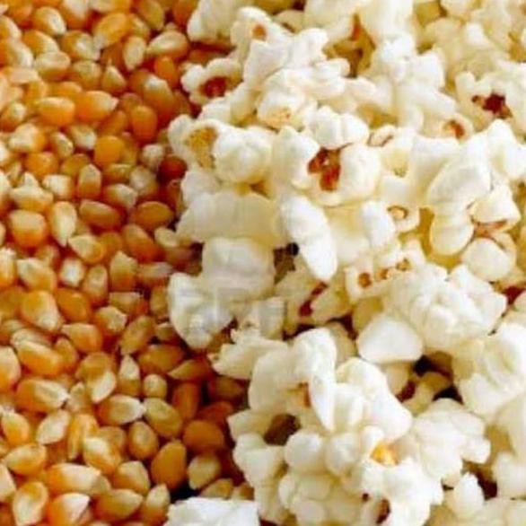

1.1 BRANDS FESTIVAL Jagung Pop Corn MENTAH kemasan 800 gram