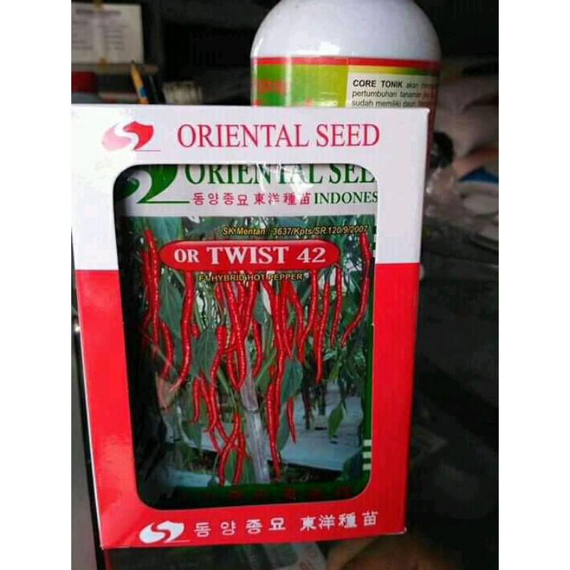 Benih cabe OR TWIST 42