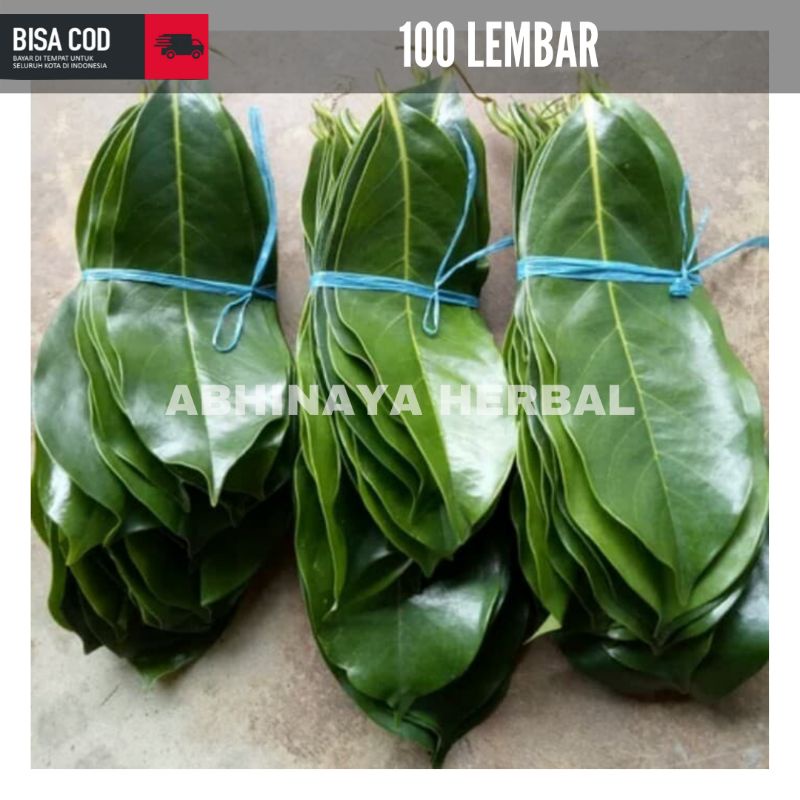 

Daun sirsak segar - daun sirsak fresh organik per 100 lembar