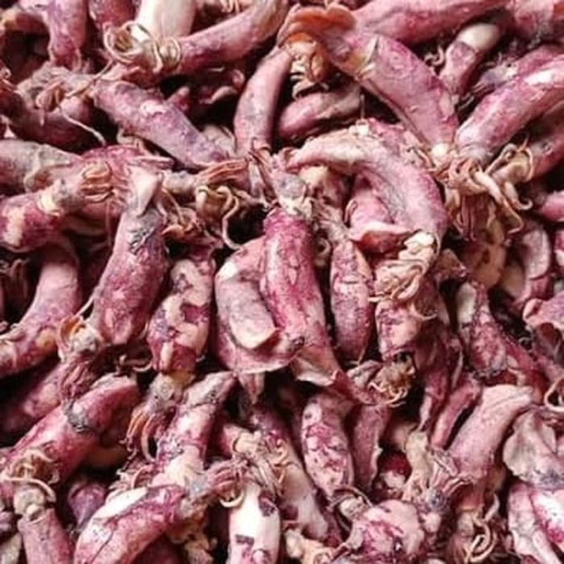 

cumi asin 500gram