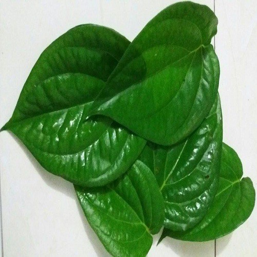 

DAUN SIRIH HIJAU@500GR