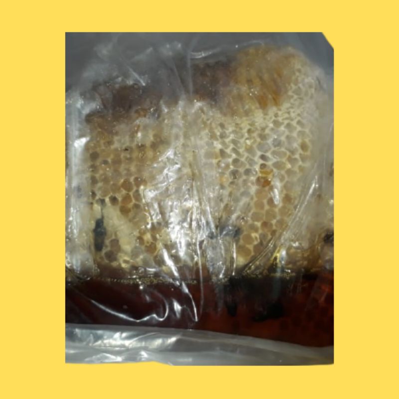 

Madu Sarang Hutan Sialang Riau Asli 1 kg