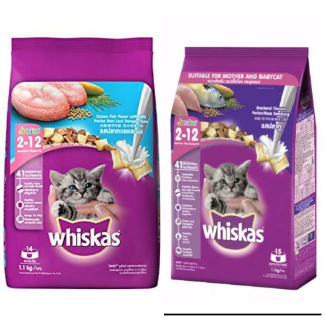 Makanan Kucing / Cat Food WHISKAS JUNIOR 1,1 KG