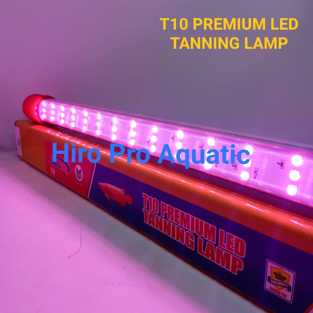 T10-1000 Premium Led Tanning Lamp Sakkai Pro