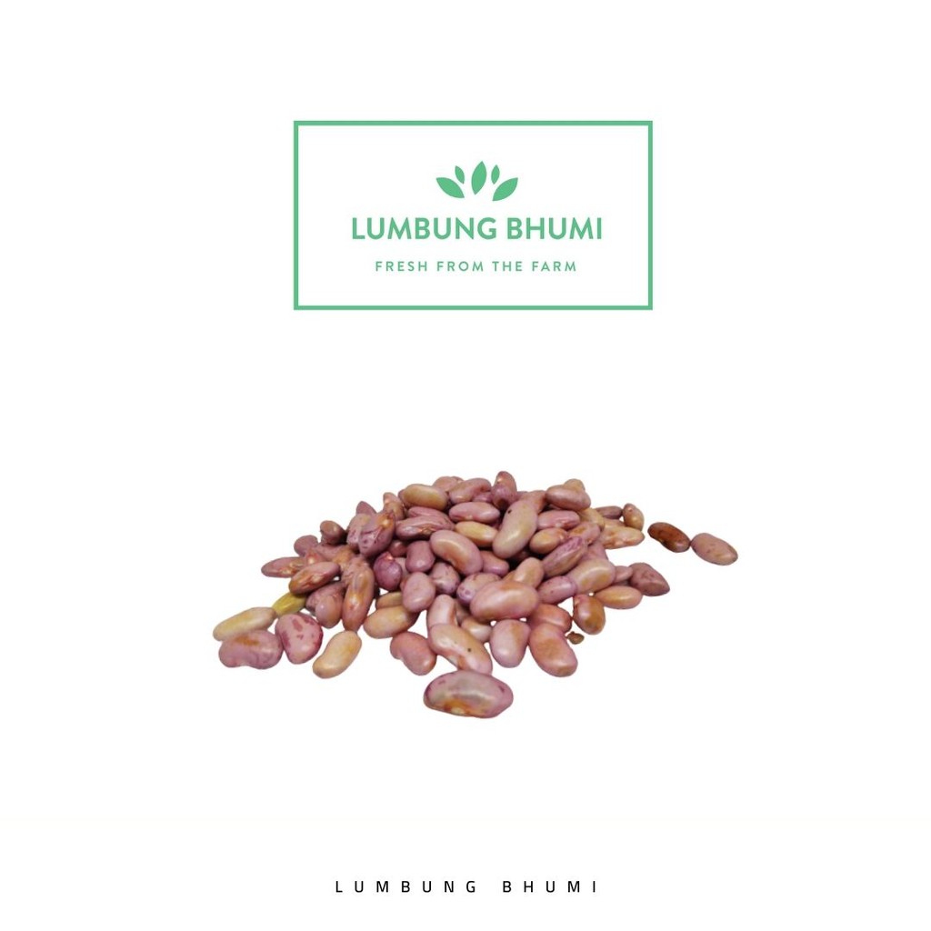 

Lumbung Bhumi - Kacang Merah Basah 100 Gr ( Sayur Curah )