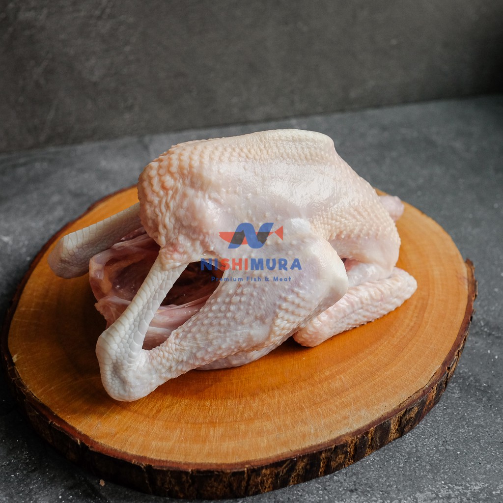 

Ayam Pejantan Rasa Daging Mirip Ayam Kampung, Cocok Untuk Ayam Goreng Kalasan By NishimuraShop Nishimura Chicken Ciken Chiken