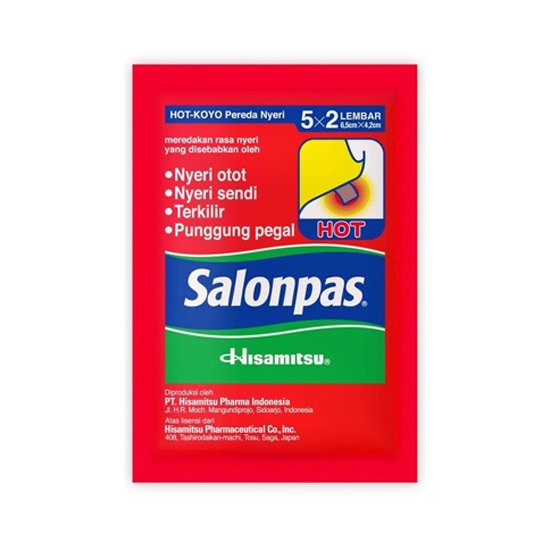 SALONPAS HOT SACH