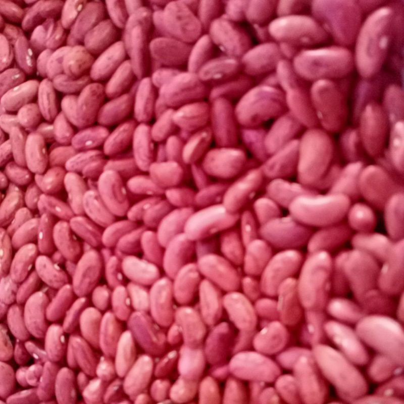 

kacang jogo/kacang merah
