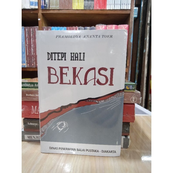 NOVEL DI TEPI KALI BEKASI