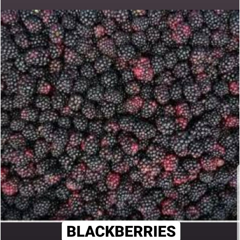 

BLACKBERRY FROZEN