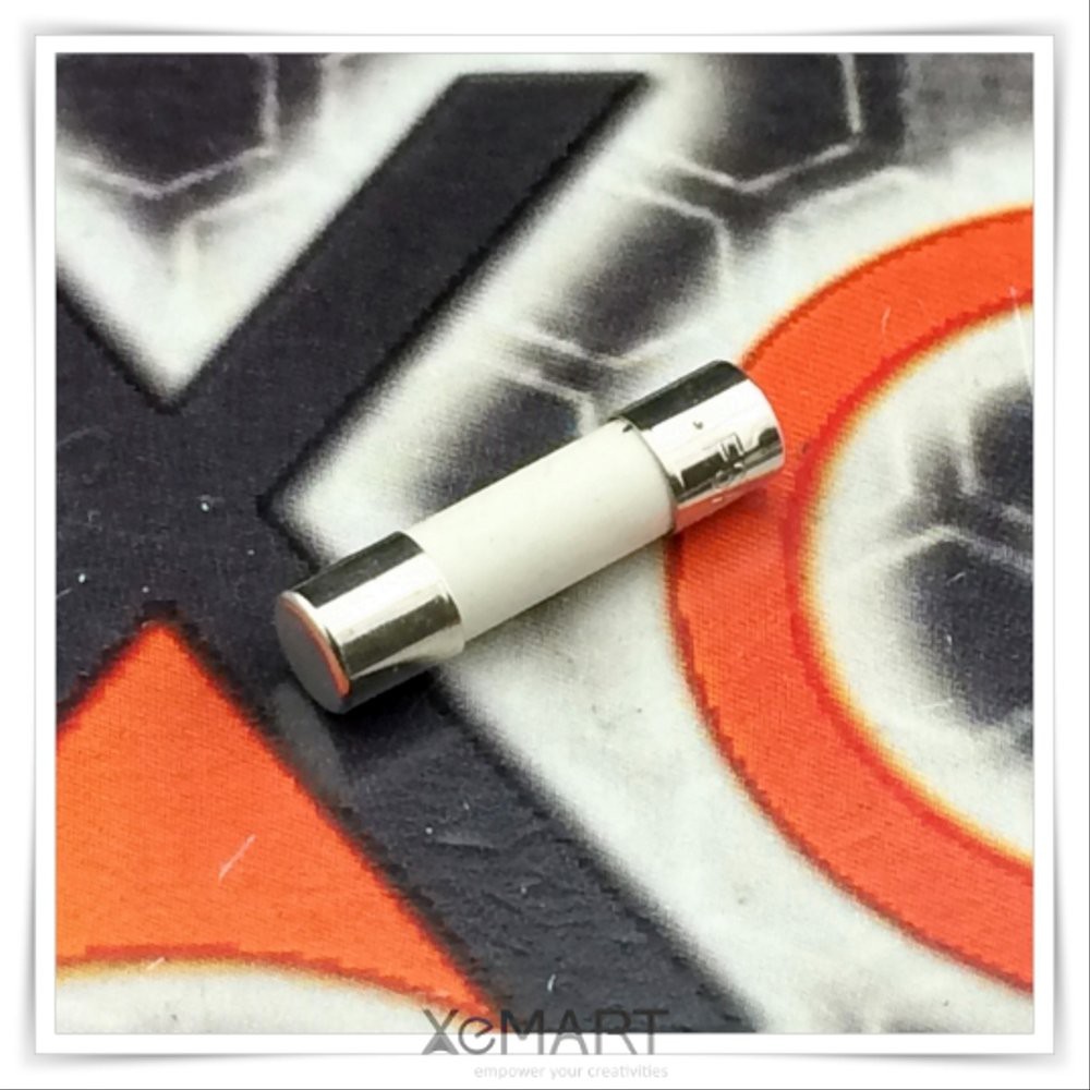 Ceramic Fuse 4A 5x20mm Sekring 20mm Slow Blow