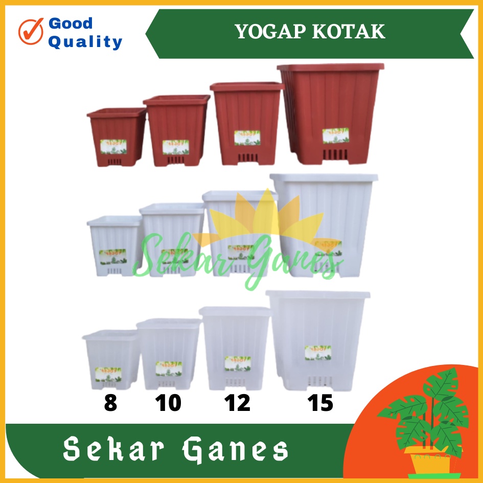 Pot Yogap Kotak 8 10 12 15 Putih Transparan Merah Bata