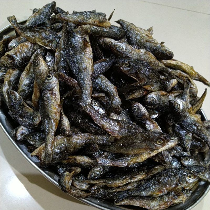 

Ikan bilis