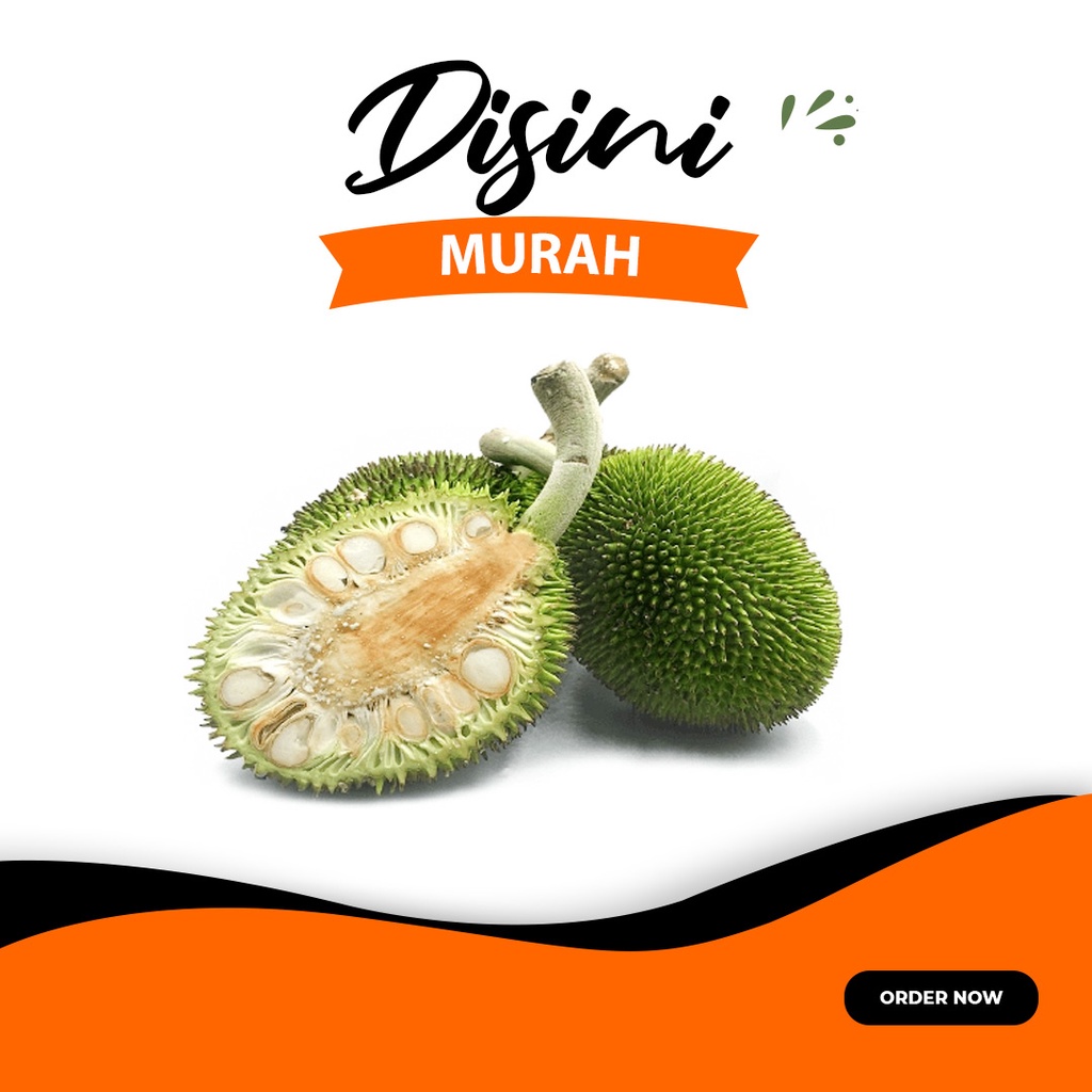 

buah kluwih - buah timbul per kg