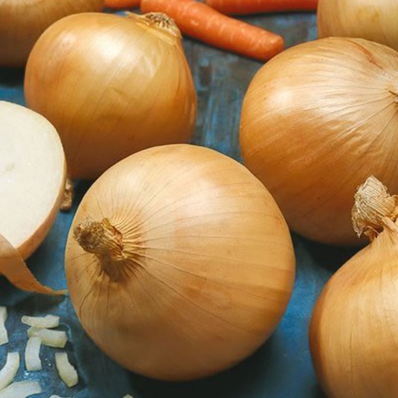 

BAWANG BOMBAY | ONION 500 gr