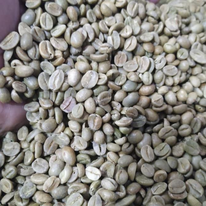 

Biji Kopi Green Bean Arabika Gn Prau Temanggung Mentah
