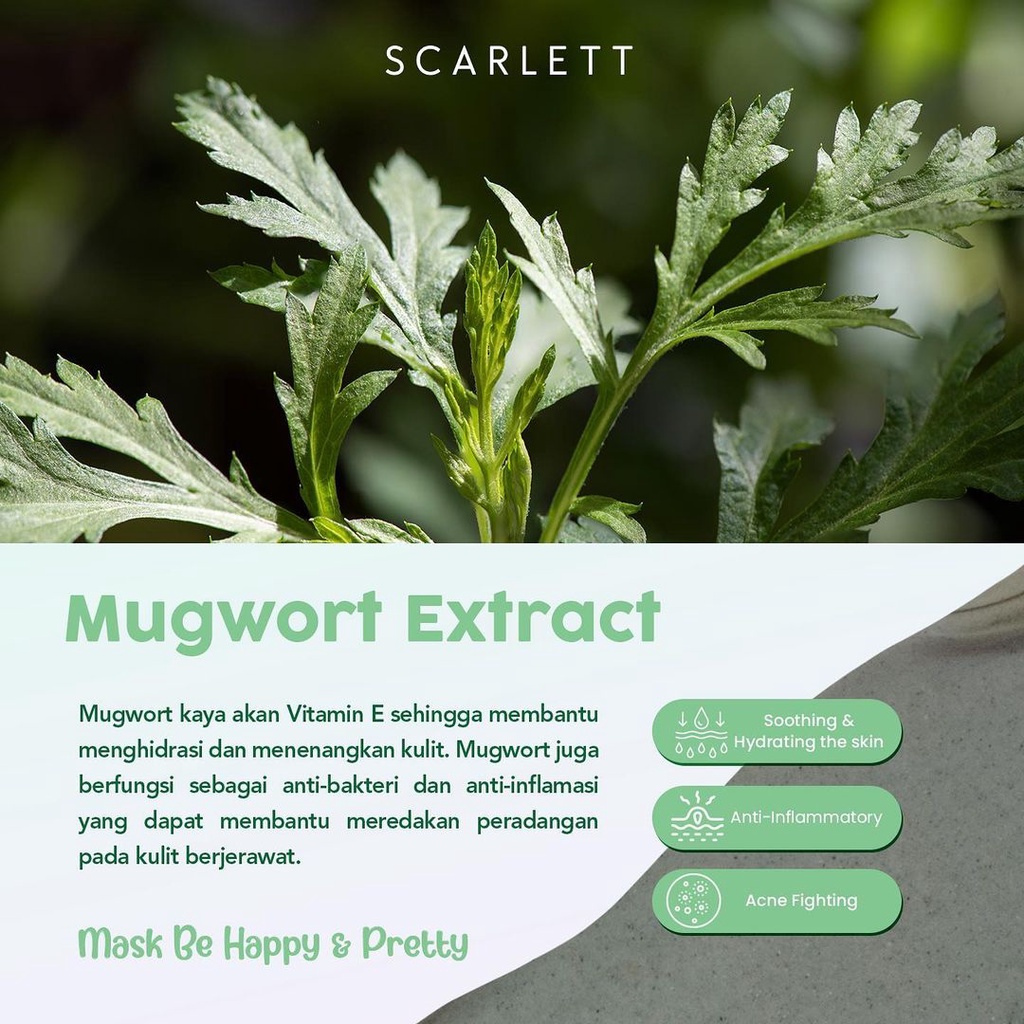 SCARLETT Whitening Mask Indonesia / Herbalism Mugwort Seriously Soothing &amp; Hydrating Gel Masker Facial Wash Essence Toner Serum Ampoule Day Night Cream Sunscreen Body Shower Scrub Lotion Shampoo Conditioner / Brightly Ever After Acne Paket Mini Full Set