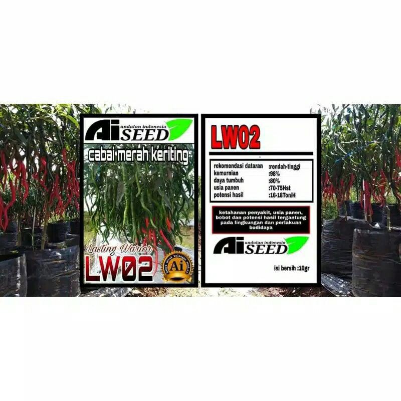 

4.4 "MAS BIDIN" BIG SALE!!! cabe LW 02 unggul original cabe keriting berkualitas
