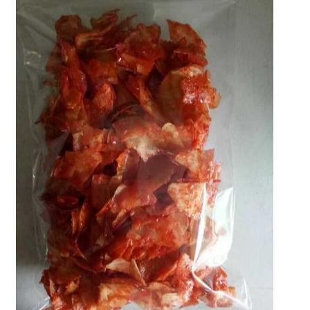 

➾ KERIPIK SINGKON PEDAS LENGKET/KERIPIK SINGKON BALADO 160 GR HOME MADE ☀