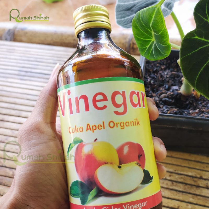 Cuka Apel Organik Vinegar | ORIGINAL