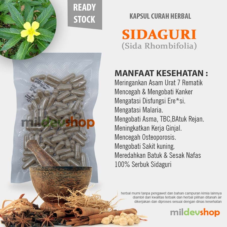 SIDAGURI 100 Kapsul Herbal Lemah Syahwat Eksim Asma Anti Radang Ginjal