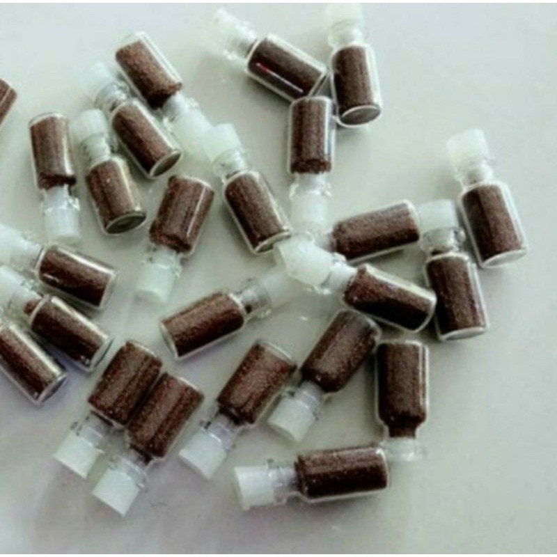 Karpet seed / bibit tanaman karpet aquarium aquascape