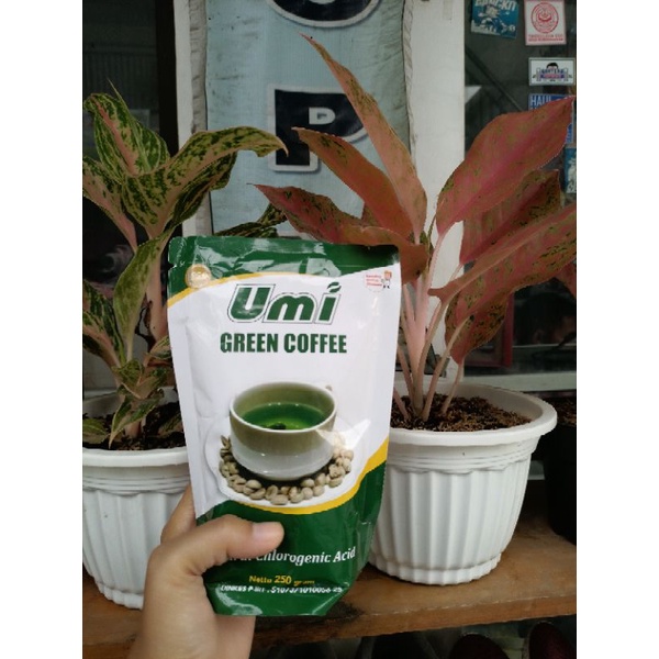 

umi green coffee