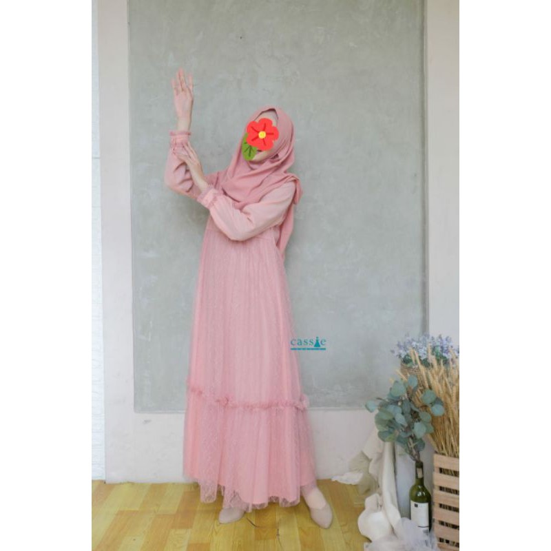 Cassie Labels Briona Dress