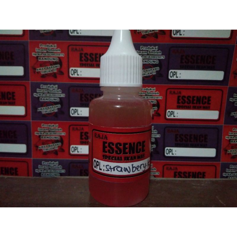 OPLOSAN STWBERY KEMANGI #RAJA ESSENCE BANDUNG FISHING#