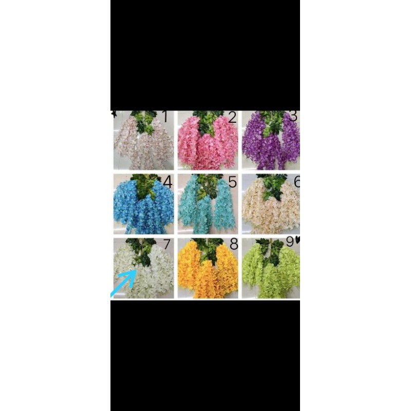 

westeria jumbo juntai perlusin isi 12pcs