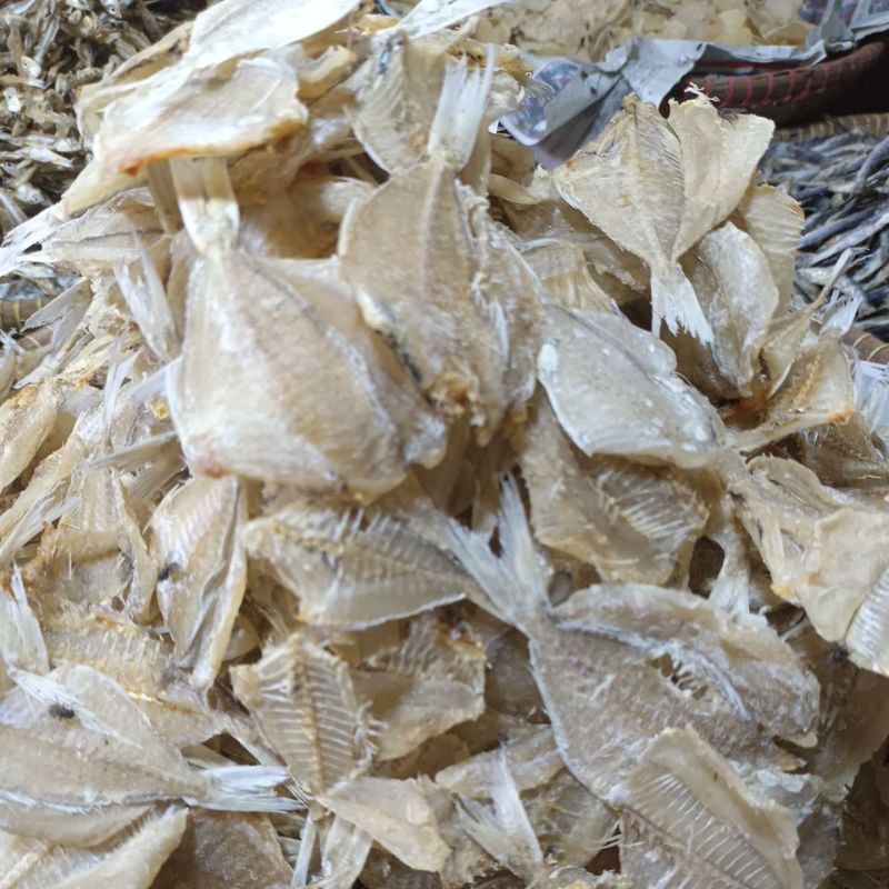 

ikan kapas tawar