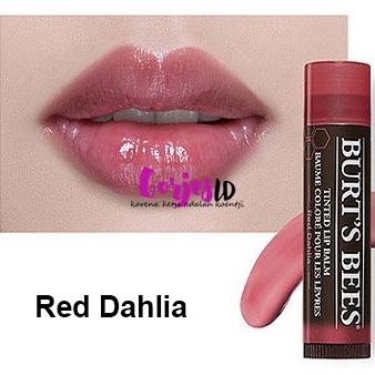 NEW Burt's Bees Tinted Lip Balm Red Dahlia original burt burts color colour warna oil