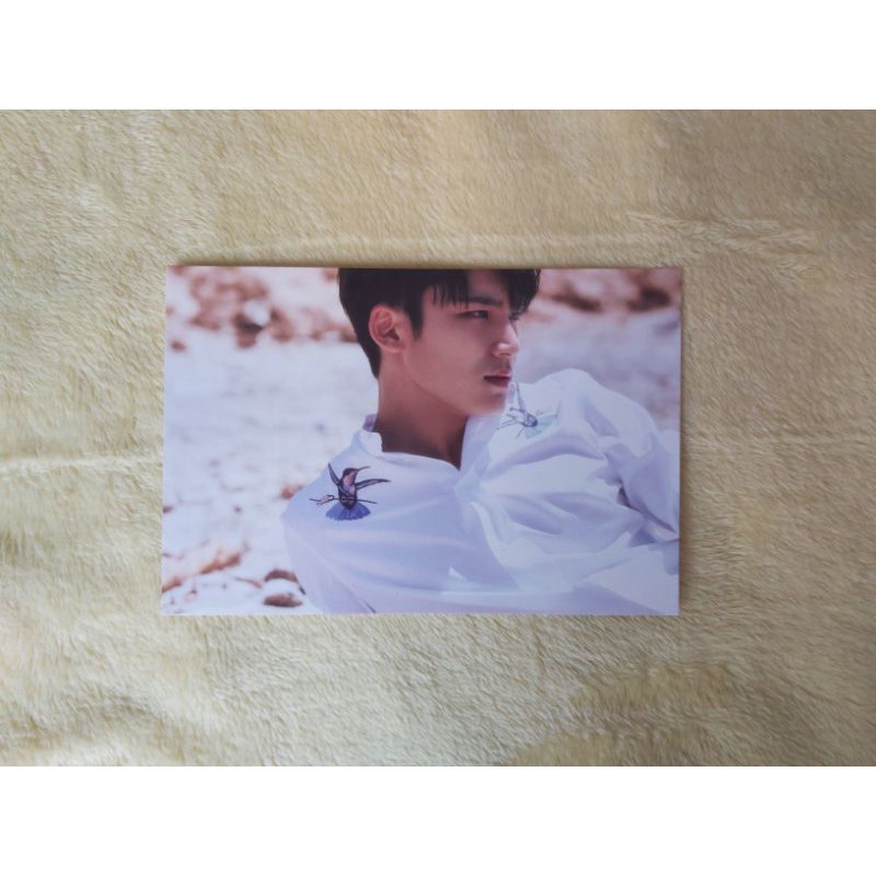 SEVENTEEN Mingyu Al1 Postcard