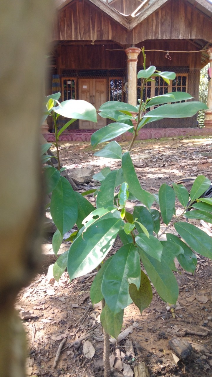 Kain Lap 12pcs Serbet Piring