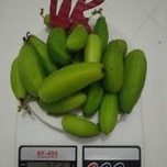 

Belimbing Wuluh Belimbing Sayur