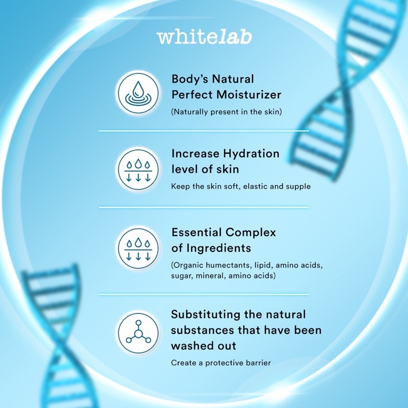 WHITELAB Natural Moisturizing Factor Serum Indonesia / Facial Wash Hydrating Essence Toner Ampoule Day Night Underarm Eye Cream Sunscreen Clay Mask Masker Gel Body Soap / Face Acne Brightening Mugwort Heartleaf Niacinamide Wajah Lengkap Set Krim Pelembab