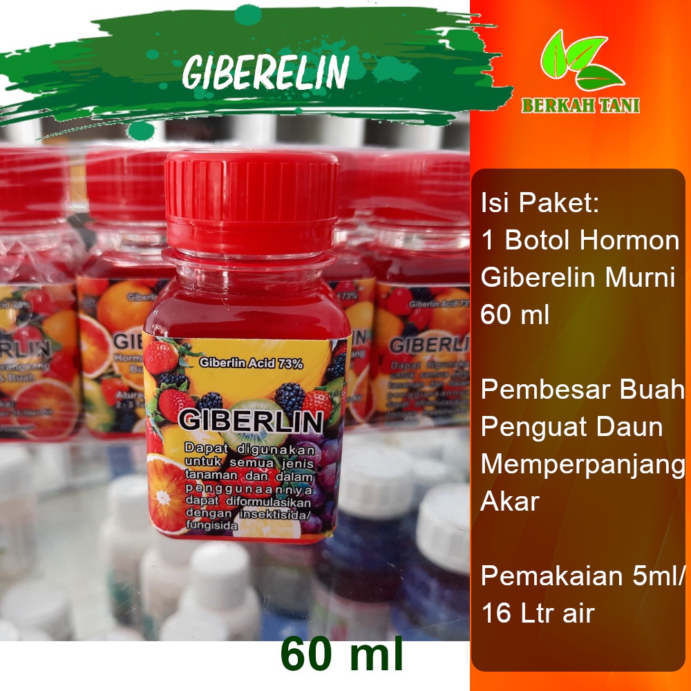 ZPT mempercepat pembungaan dan buah GIBERELIN murni,jos