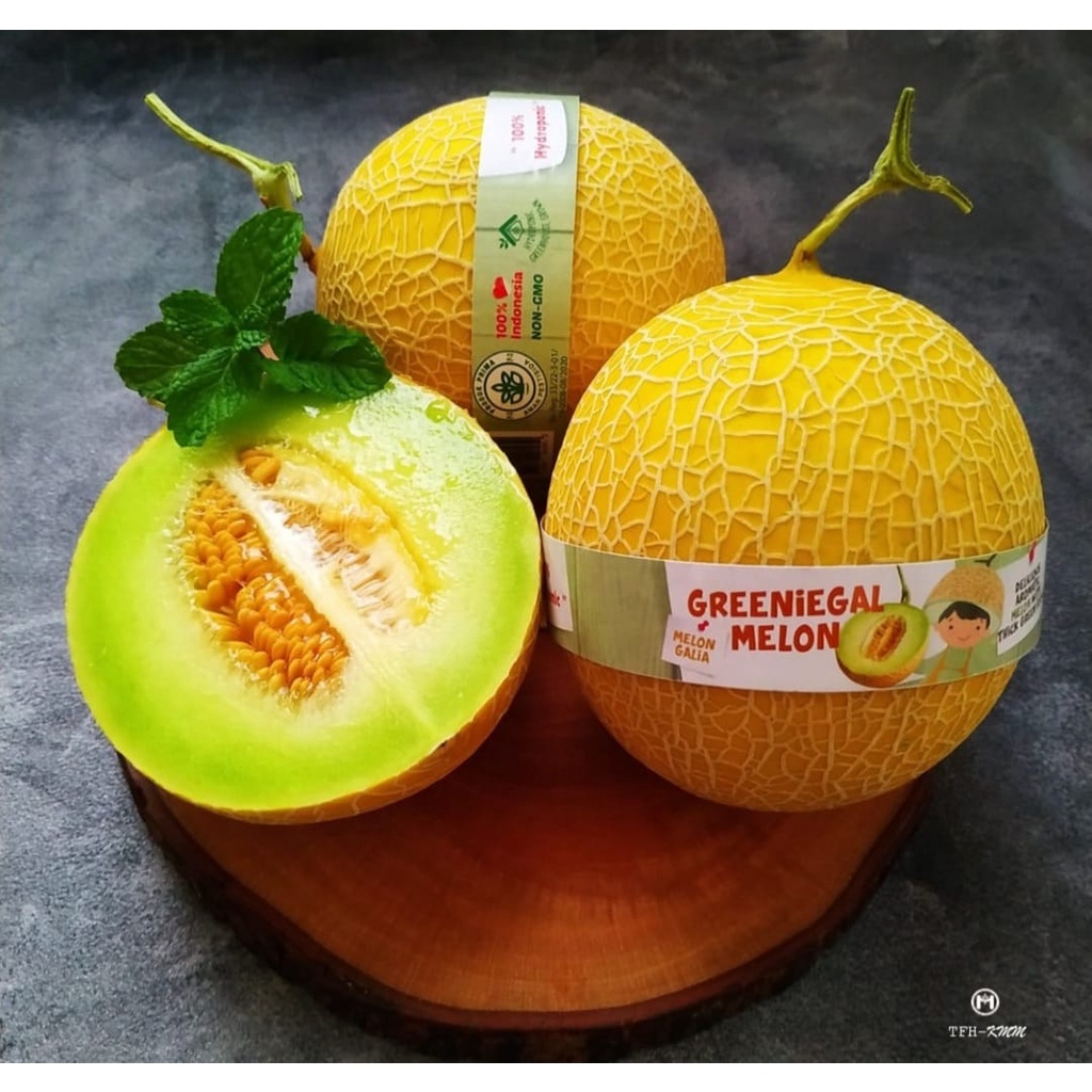

Melon GREENIEGAL buah segar & manis [ 1,5kg ]