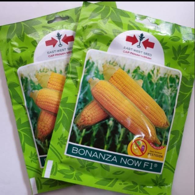 Bibit Benih Jagung Manis  BONANZA  NOW F1 isi 200 biji