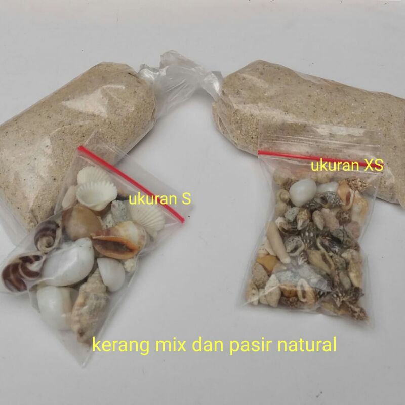 paket kerang mix dan pasir natural utk prakarya botol hias message in a bottle