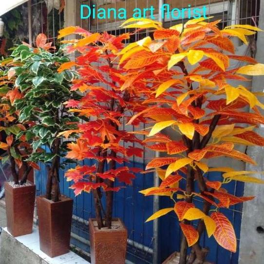 bonsai sinfu#aneka bonsai #bonsai plastik